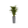 Amsterdam High Large Tall Round Planter - 19.5 in x 19.5 in x 35.5 in - Dark Grey - Dark Grey,19.5 in x 19.5 in x 35.5 in,Planter Only