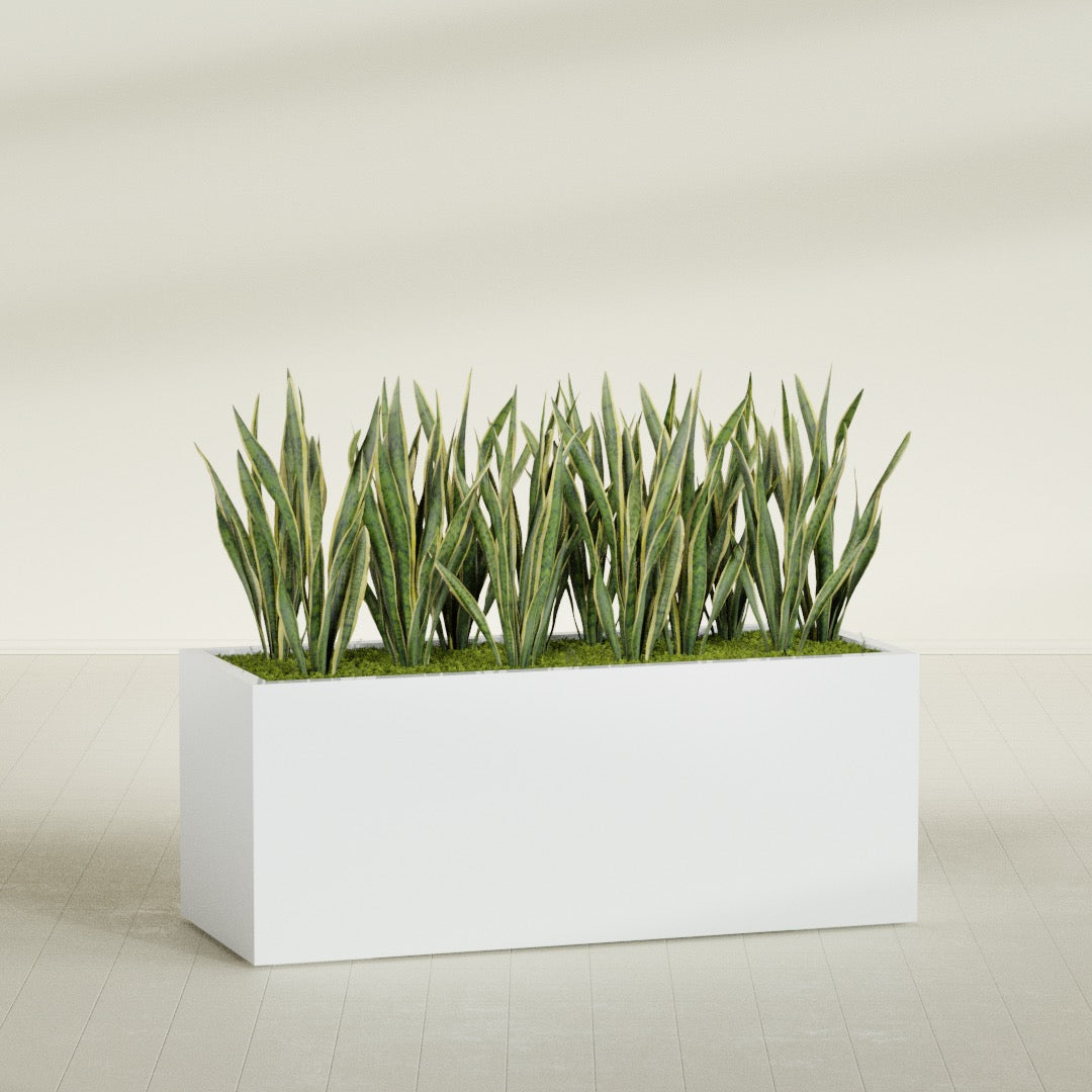 Granada Extra Large Long Rectangle Fiberglass Planter - 60 in x 24 in x 24 in - Matte White - Matte White,60 in x 24 in x 24 in