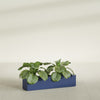 Salon Large Tall Rectangle Fiberglass Planter - 36 in x 8 in x 8 in - Matte Cobalt Blue - Matte Cobalt Blue,36 in x 8 in x 8 in