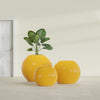 Globe Large Sphere Fiberglass Planter - 36 in x 36 in x 30 in - Gloss Saffron - Gloss Saffron,36 in x 36 in x 30 in