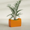 Seoul Large Curved Abstract Fiberglass Planter - 36 in x 16 in x 24 in - Gloss Tangerine - Gloss Tangerine,36 in x 16 in x 24 in