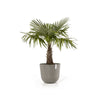 Oslo Medium Round Planter - 21.5 in x 21.5 in x 19 in - Taupe - Taupe,21.5 in x 21.5 in x 19 in,Planter Only