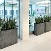 Reglo Modular Rectangle Planter - 35.5 in x 11.75 in x 15.75 in - Brown Stone - Brown Stone,35.5 in x 11.75 in x 15.75 in