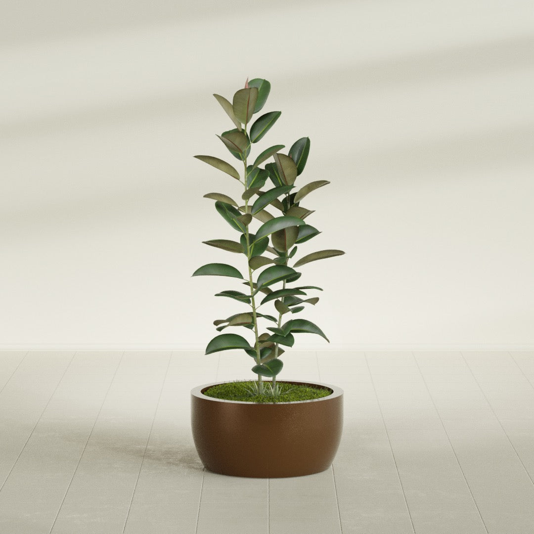 Casablanca Medium Round Low Bowl Fiberglass Planter - 24 in x 24 in x 12 in - Metallic Bronze - Metallic Bronze,24 in x 24 in x 12 in
