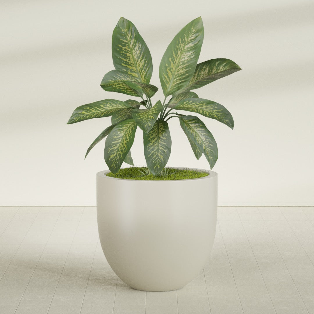 Alzira Large Round Fiberglass Planter - 36 in x 36 in x 34 in - Satin Beige - Satin Beige,36 in x 36 in x 34 in
