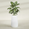 Saigon Extra Large Tapered Round Planter - 19 in x 24 in x 42 in - Gloss White - Gloss White,19.2 in x 24.2 in x 42 in