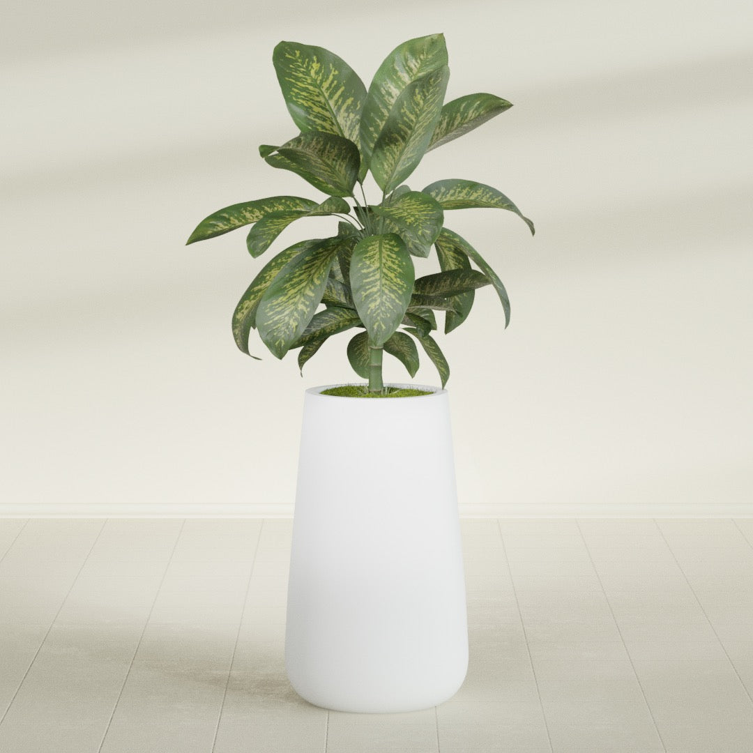 Saigon Extra Large Tapered Round Planter - 19 in x 24 in x 42 in - Gloss White - Gloss White,19.2 in x 24.2 in x 42 in