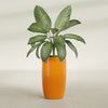 Lisbon Large Round Fiberglass Planter - 18 in x 18 in x 32 in - Gloss Tangerine - Gloss Tangerine,18 in x 18 in x 32 in