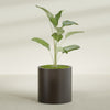 Rio Grande Medium Round Fiberglass Planter - 22 in x 22 in x 22 in - Matte Brown - Matte Brown,22 in x 22 in x 22 in