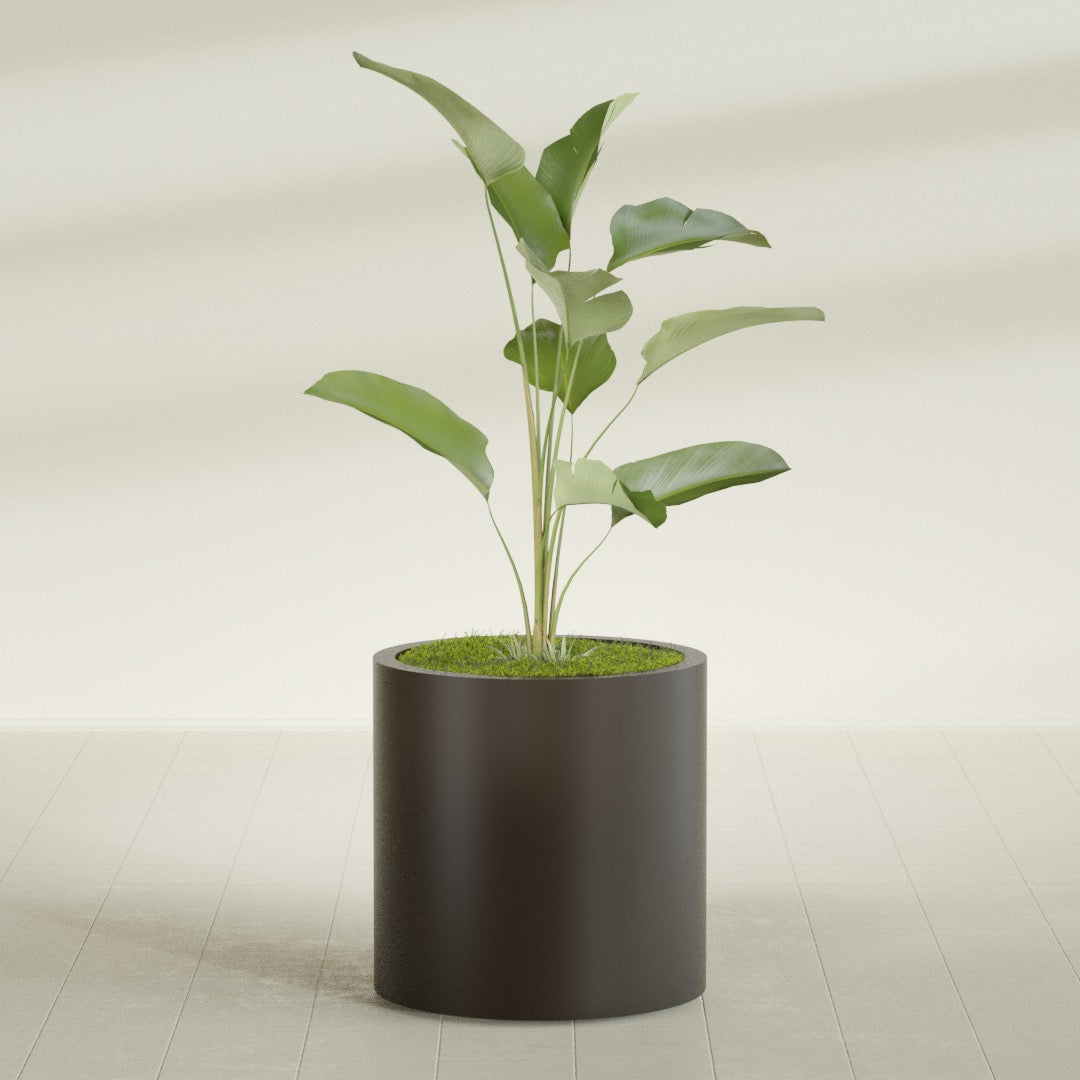 Rio Grande Medium Round Fiberglass Planter - 22 in x 22 in x 22 in - Matte Brown - Matte Brown,22 in x 22 in x 22 in