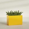 Brisbane Extra Large Long Rectangle Fiberglass Planter - 48 in x 24 in x 32 in - Gloss Saffron - Gloss Saffron,48 in x 24 in x 32 in