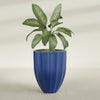 Alicante Medium Round Fiberglass Planter - 26 in x 26 in x 32 in - Matte Cobalt Blue - Matte Cobalt Blue,26 in x 26 in x 32 in