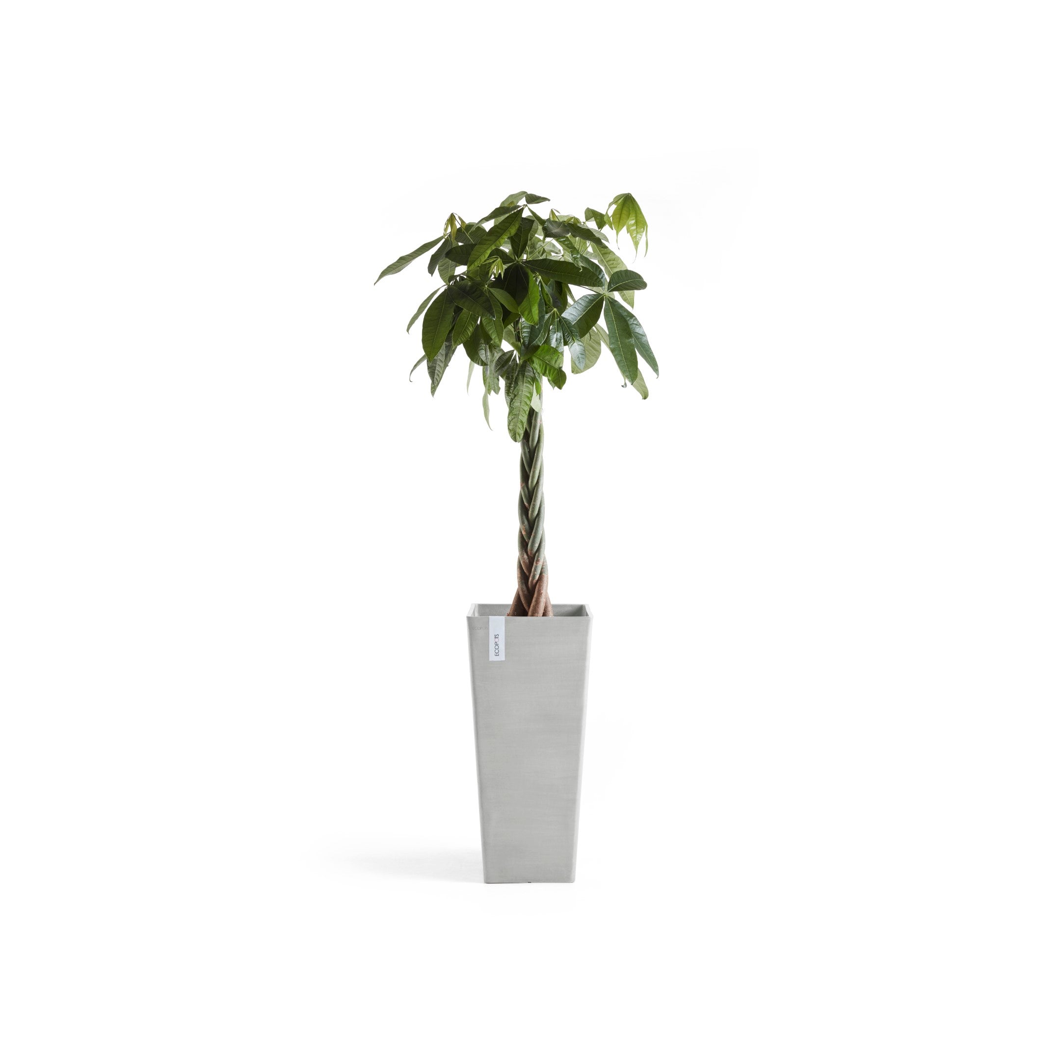 Rotterdam Medium Tall Square Planter - 12.6 in x 12.6 in x 27.5 in - White Grey - White Grey,12.5 in x 12.5 in x 27.5 in,Planter Only
