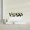 Salon Large Tall Rectangle Fiberglass Planter - 36 in x 8 in x 8 in - Matte White - Matte White,36 in x 8 in x 8 in
