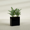 Milano Medium Narrow Rectangle Fiberglass Planter - 24 in x 10 in x 24 in - Gloss Black - Gloss Black,24 in x 10 in x 24 in