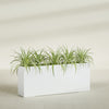 Hollywood Extra Large Narrow Rectangle Fiberglass Planter - 60 in x 12 in x 24 in - Matte White - Matte White,60 in x 12 in x 24 in