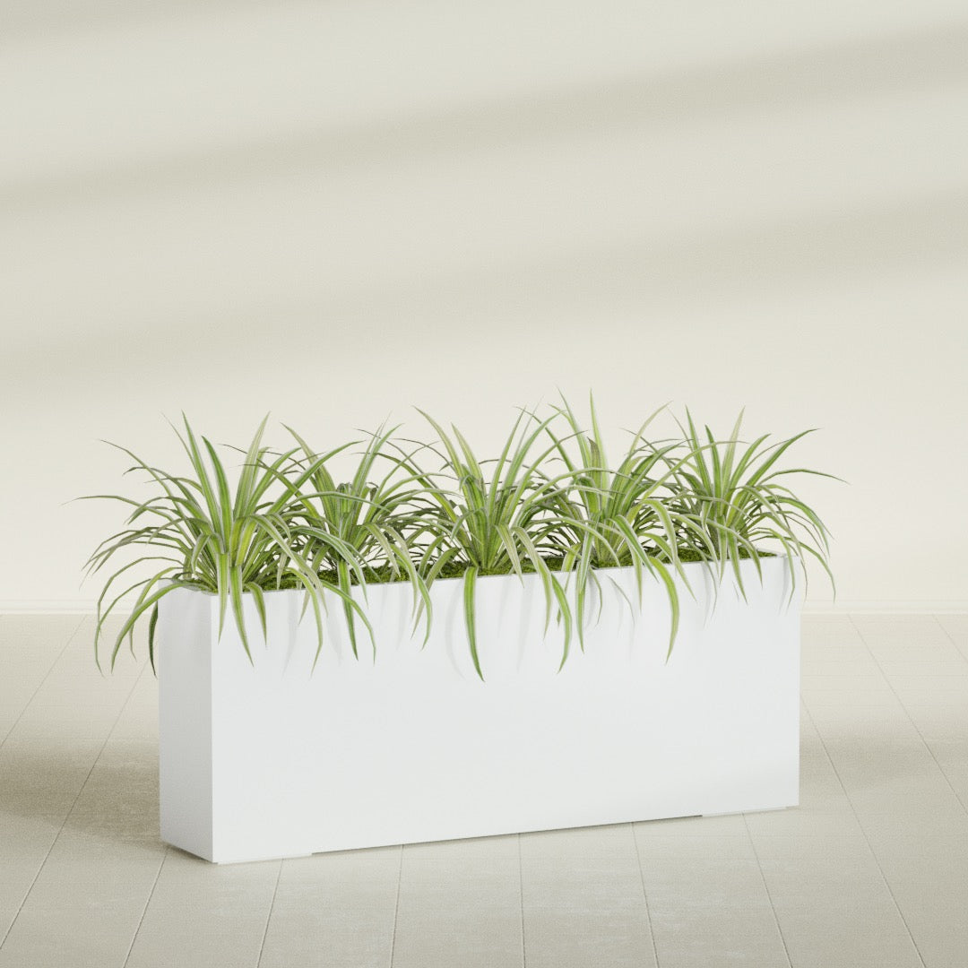 Hollywood Extra Large Narrow Rectangle Fiberglass Planter - 60 in x 12 in x 24 in - Matte White - Matte White,60 in x 12 in x 24 in