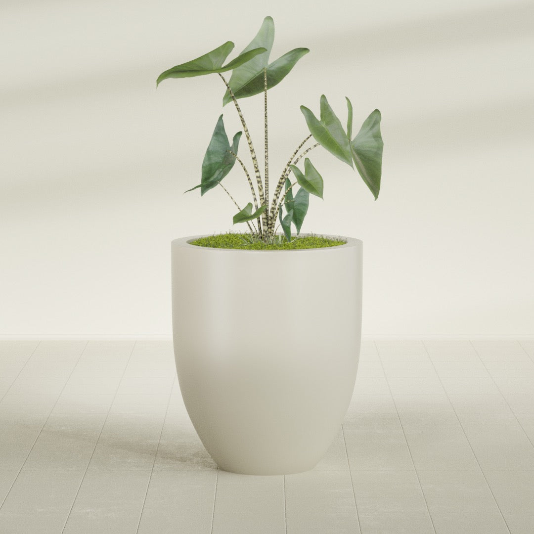 Valencia Large Round Fiberglass Planter - 27 in x 27 in x 31 in - Satin Beige - Satin Beige,27 in x 27 in x 31 in