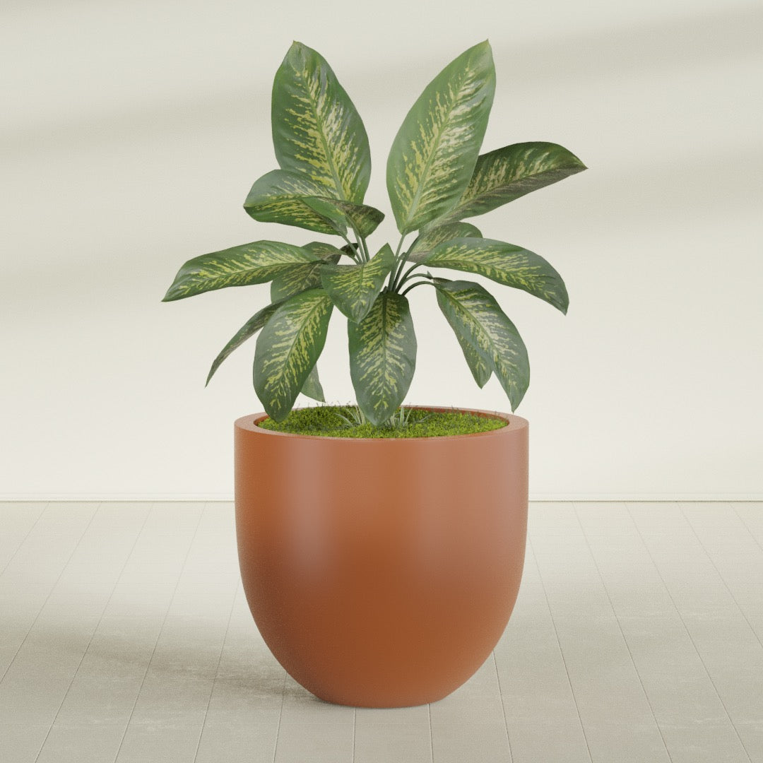 Alzira Large Round Fiberglass Planter - 36 in x 36 in x 34 in - Matte Terracotta - Matte Terracotta,36 in x 36 in x 34 in