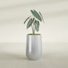 Tall Hayden Medium Round Fiberglass Planter - 12 in x 12 in x 20 in - Metallic Silver - Metallic Silver,12 in x 12 in x 20 in