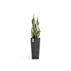 Rotterdam Medium Tall Square Planter - 12.6 in x 12.6 in x 27.5 in - Dark Grey - Dark Grey,12.5 in x 12.5 in x 27.5 in,Planter Only