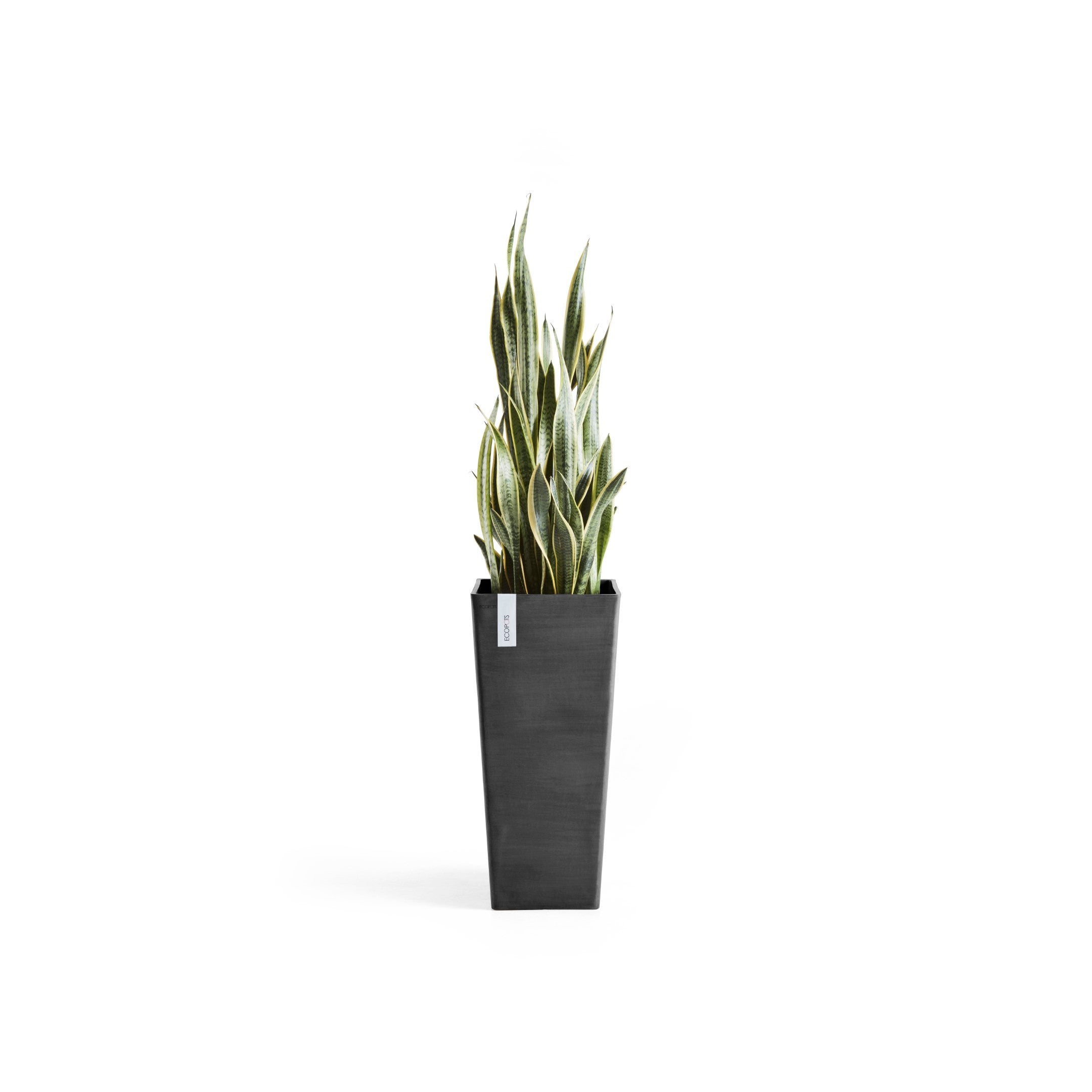 Rotterdam Medium Tall Square Planter - 12.6 in x 12.6 in x 27.5 in - Dark Grey - Dark Grey,12.5 in x 12.5 in x 27.5 in,Planter Only