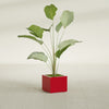 Cuba Small Fiberglass Column Planter - 14 in x 14 in x 12 in - Gloss Red - Gloss Red,14 in x 14 in x 12 in