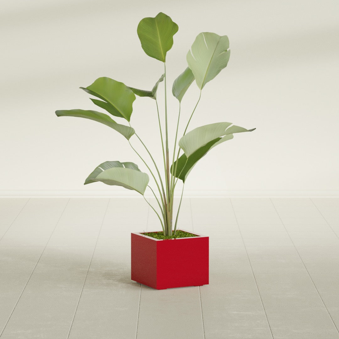 Cuba Small Fiberglass Column Planter - 14 in x 14 in x 12 in - Gloss Red - Gloss Red,14 in x 14 in x 12 in