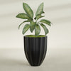 Alicante Medium Round Fiberglass Planter - 26 in x 26 in x 32 in - Matte Black - Matte Black,26 in x 26 in x 32 in