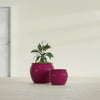 Fishbowl Small Round Fiberglass Planter - 16 in x 16 in x 14 in - Gloss Eggplant - Gloss Eggplant,16 in x 16 in x 14 in
