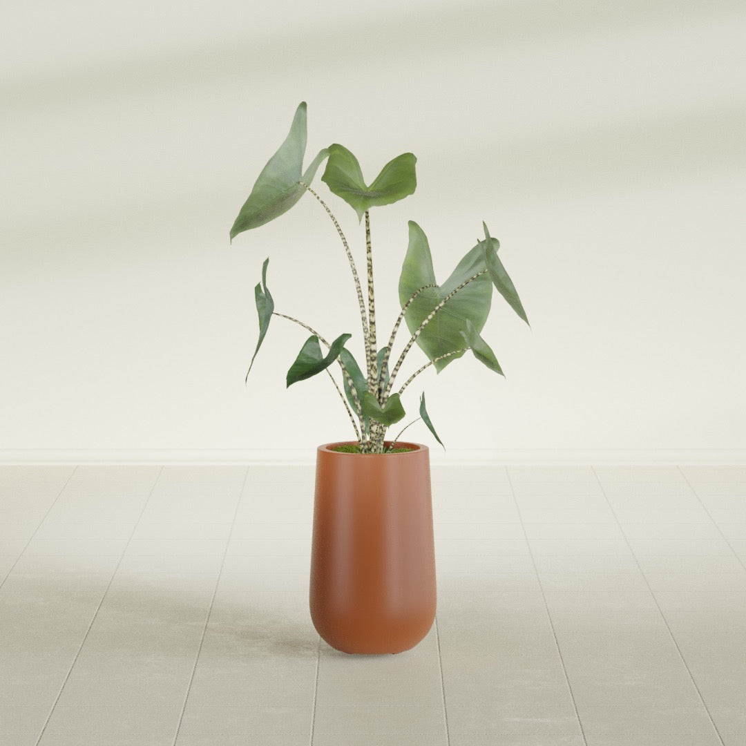 Tall Hayden Medium Round Fiberglass Planter - 18 in x 18 in x 29 in - Matte Terracotta - Matte Terracotta,18 in x 18 in x 29 in