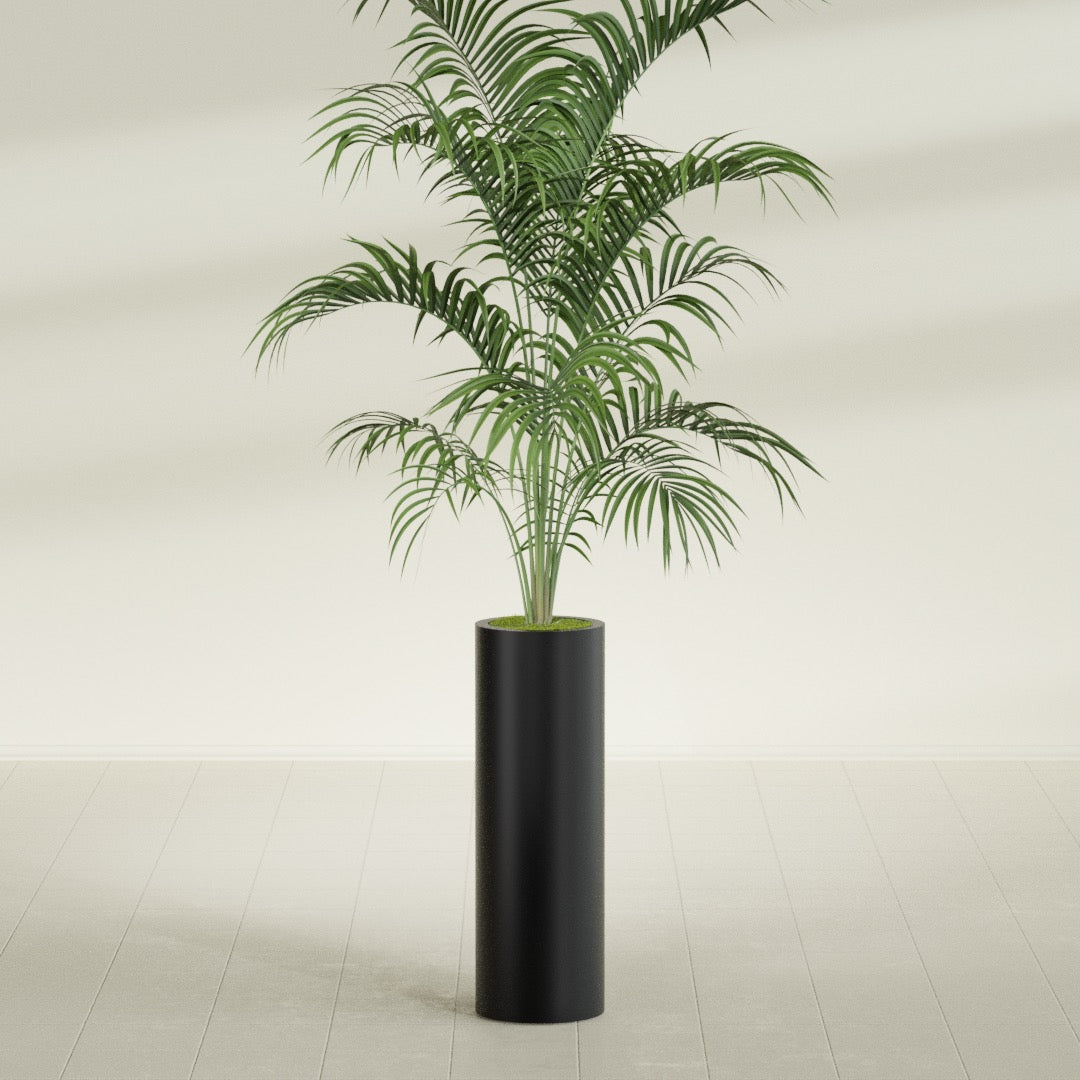 Corry Large Tall Cylinder Fiberglass Planter - 10 in x 10 in x 30 in - Matte Black - Matte Black,10 in x 10 in x 30 in