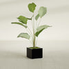 Cuba Small Fiberglass Column Planter - 14 in x 14 in x 12 in - Gloss Black - Gloss Black,14 in x 14 in x 12 in