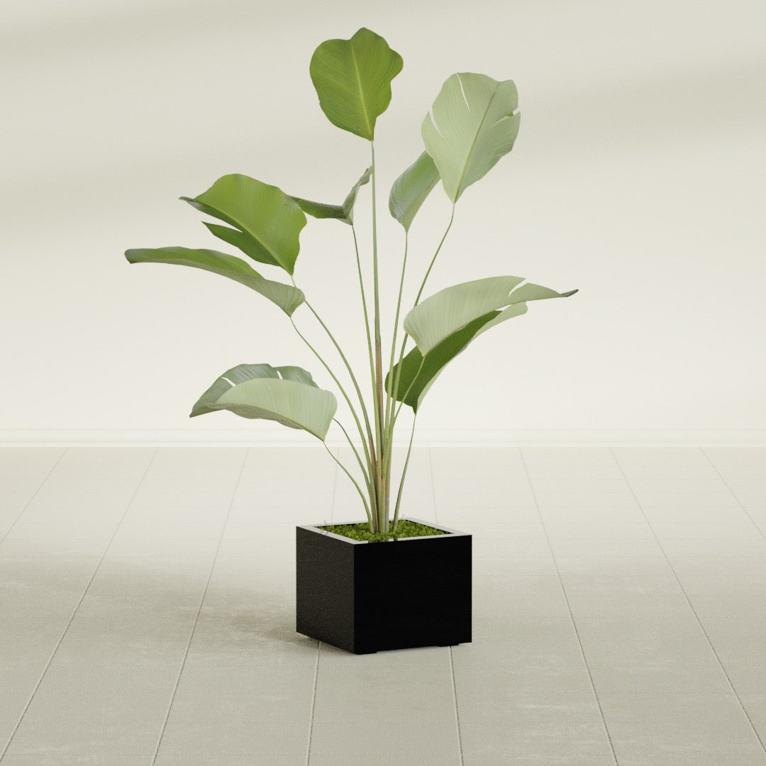 Cuba Small Fiberglass Column Planter - 14 in x 14 in x 12 in - Gloss Black - Gloss Black,14 in x 14 in x 12 in