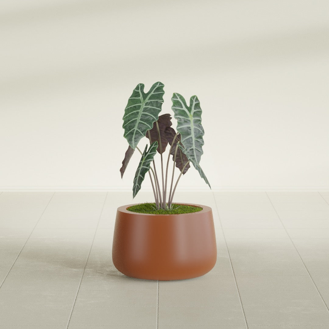 Short Hayden Small Round Fiberglass Planter - 12 in x 12 in x 7 in - Matte Terracotta - Matte Terracotta,12 in x 12 in x 7 in