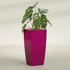 Toulan Large Tall Tapered Square Fiberglass Planter - 20 in x 20 in x 42 in - Gloss Eggplant - Gloss Eggplant,20 in x 20 in x 42 in