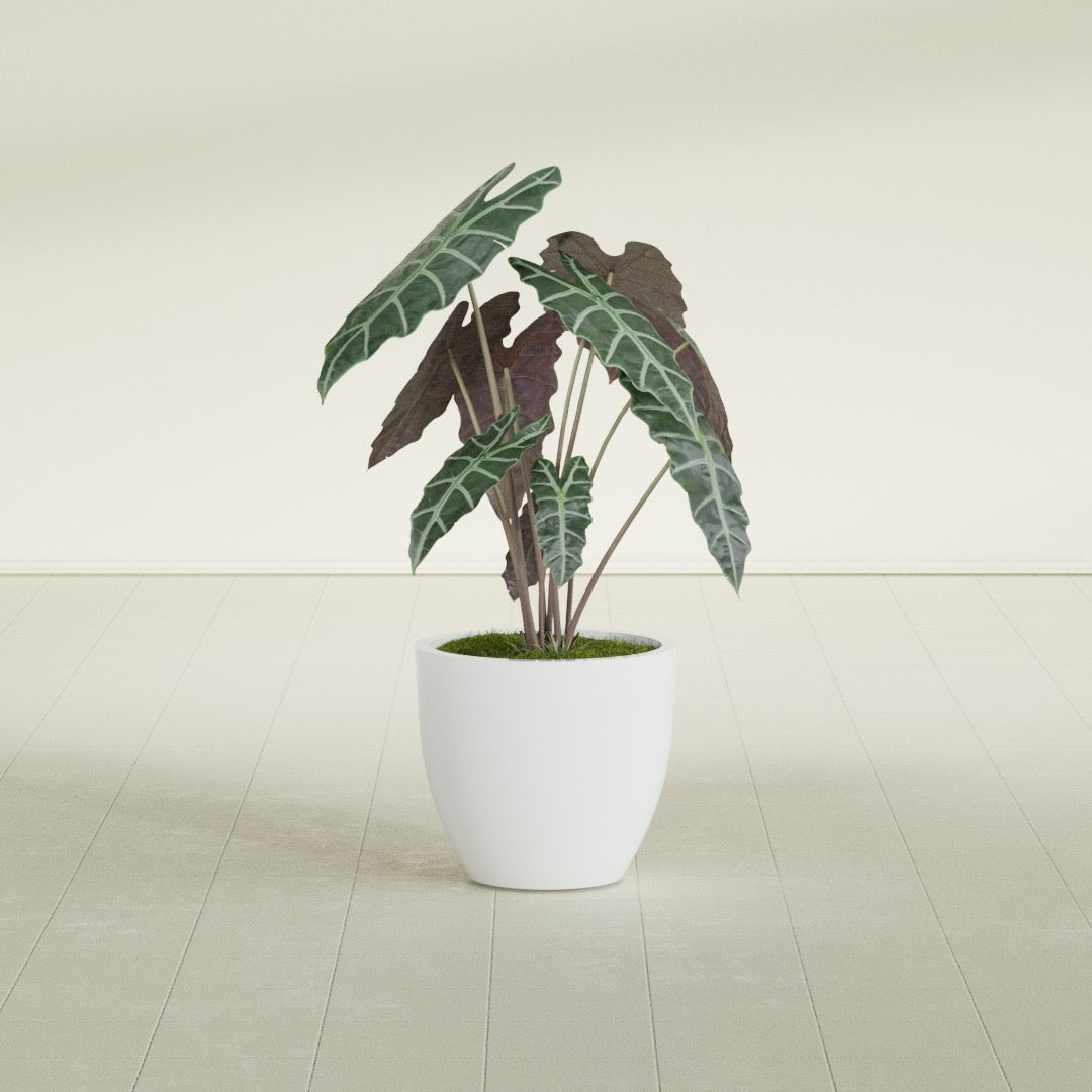Wannsee Medium Round Fiberglass Planter - 22 in x 22 in x 19 in - Matte White - Matte White,22 in x 22 in x 19 in