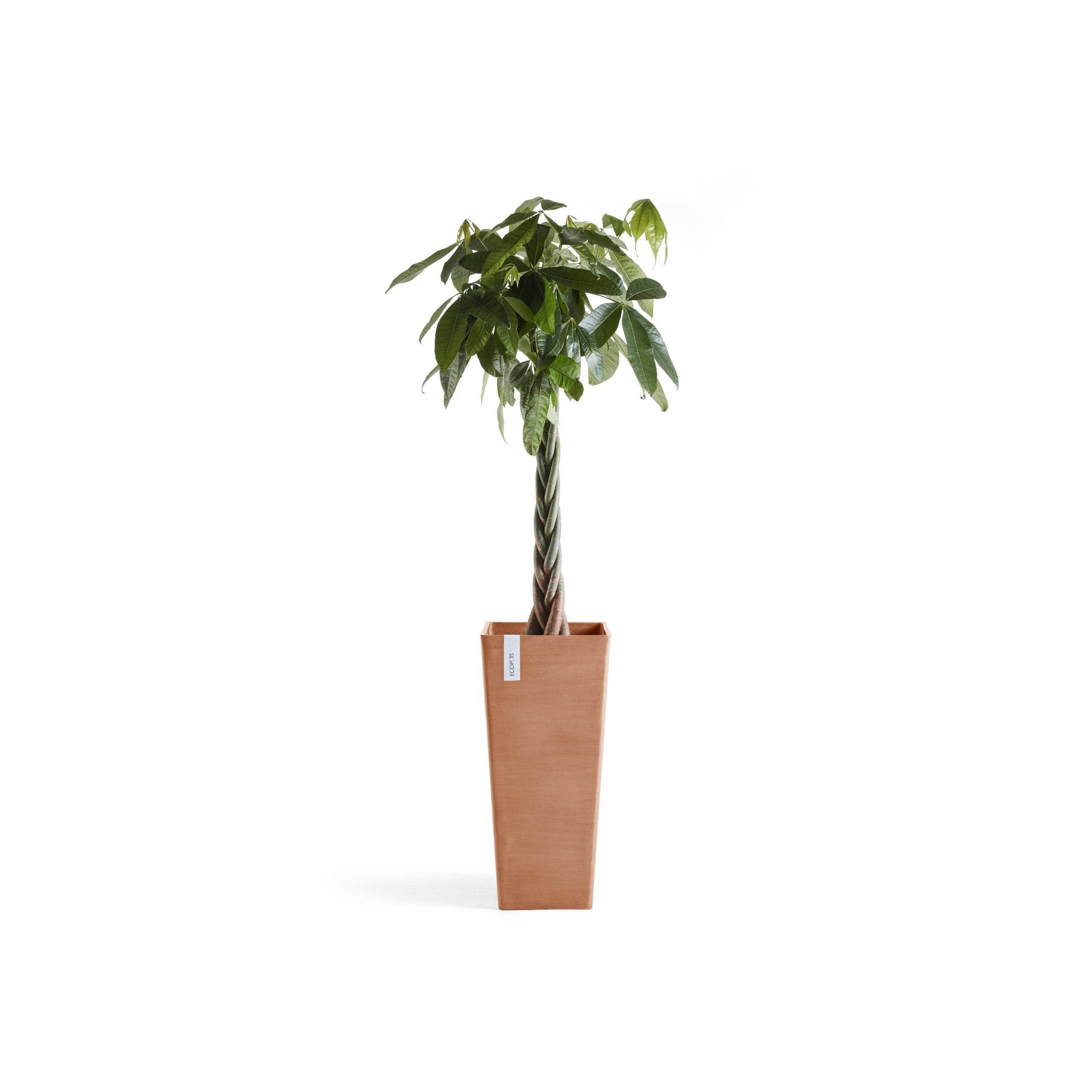 Rotterdam High Medium Square Planter - 12.6 in x 12.6 in x 27.5 in - Terracotta - Terracotta,12.5 in x 12.5 in x 27.5 in,Planter Only