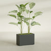 Tolga Large Rectangle Fiberglass Planter - 36 in x 16 in x 24 in - Matte Charcoal - Matte Charcoal,36 in x 16 in x 24 in