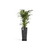 Rotterdam Medium Tall Square Planter - 12.6 in x 12.6 in x 27.5 in - Planter + Saucer - Dark Grey - Dark Grey,12.5 in x 12.5 in x 27.5 in,Planter + Saucer