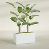 Tolga Extra Large Long Rectangle Fiberglass Planter - 48 in x 16 in x 24 in - Gloss White - Gloss White,48 in x 16 in x 24 in