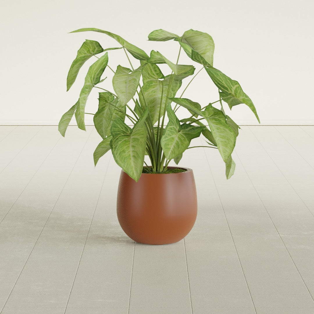 Westfield - 10in diam. x 9in - Matte Terracotta - Matte Terracotta,10 in diam. x 9 in H