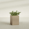 Brisbane Large Rectangle Fiberglass Planter - 24 in x 24 in x 32 in - Metallic Gold - Metallic Gold,24 in x 24 in x 32 in