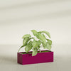 Reade Small Tabletop Rectangle Fiberglass Planter - 14 in x 5 in x 4.3 in - Gloss Eggplant - Gloss Eggplant,14 in x 5 in x 4.3 in