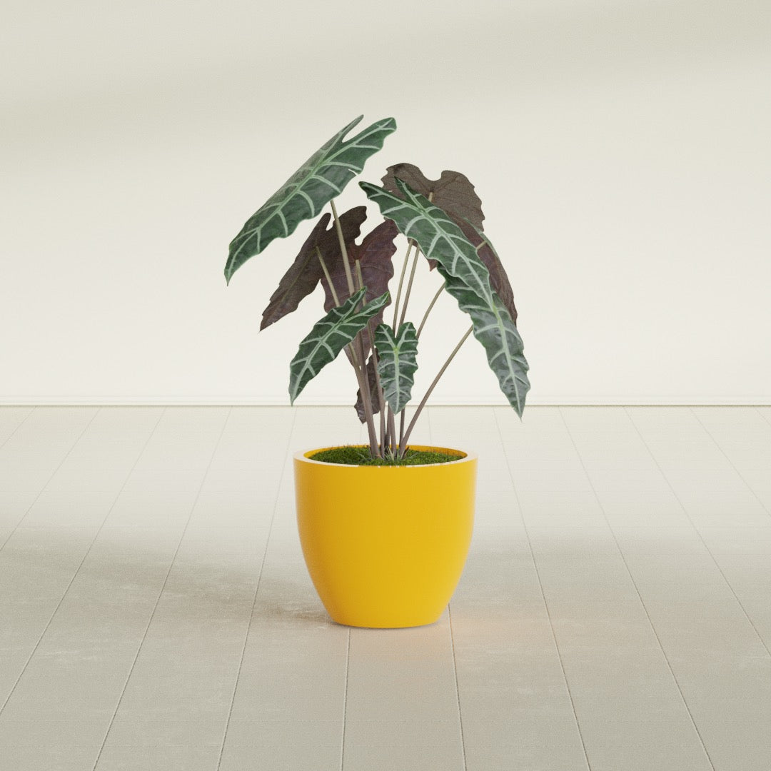 Wannsee Medium Round Fiberglass Planter - 22 in x 22 in x 19 in - Gloss Saffron - Gloss Saffron,22 in x 22 in x 19 in