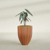 Alicante Medium Round Fiberglass Planter - 22 in x 22 in x 27 in - Matte Terracotta - Matte Terracotta,22 in x 22 in x 27 in
