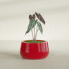 Short Hayden Small Round Fiberglass Planter - 16 in x 16 in x 8 in - Gloss Red - Gloss Red,16 in x 16 in x 8 in