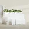 Miami Extra Large Narrow Rectangle Fiberglass Planter - 60 in x 12 in x 18 in - Matte White - Matte White,60 in x 12 in x 18 in