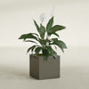 Montroy Medium Cube Square Fiberglass Planter - 20 in x 20 in x 20 in - Matte Bronze - Matte Bronze,20 in x 20 in x 20 in