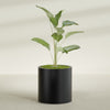 Rio Grande Medium Round Fiberglass Planter - 22 in x 22 in x 22 in - Matte Black - Matte Black,22 in x 22 in x 22 in
